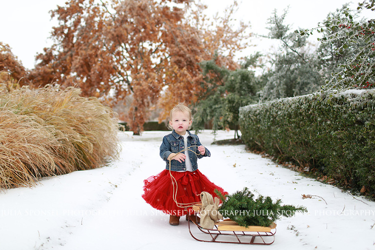 frisco photographer, frisco snow