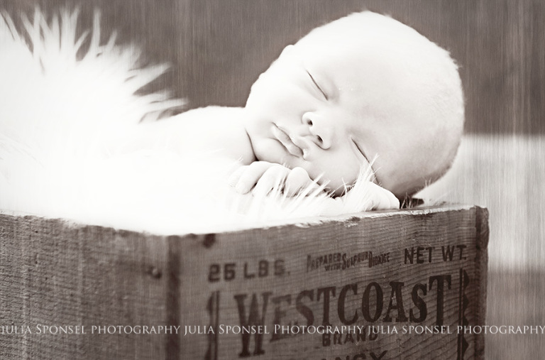frisco-newborn-photographer