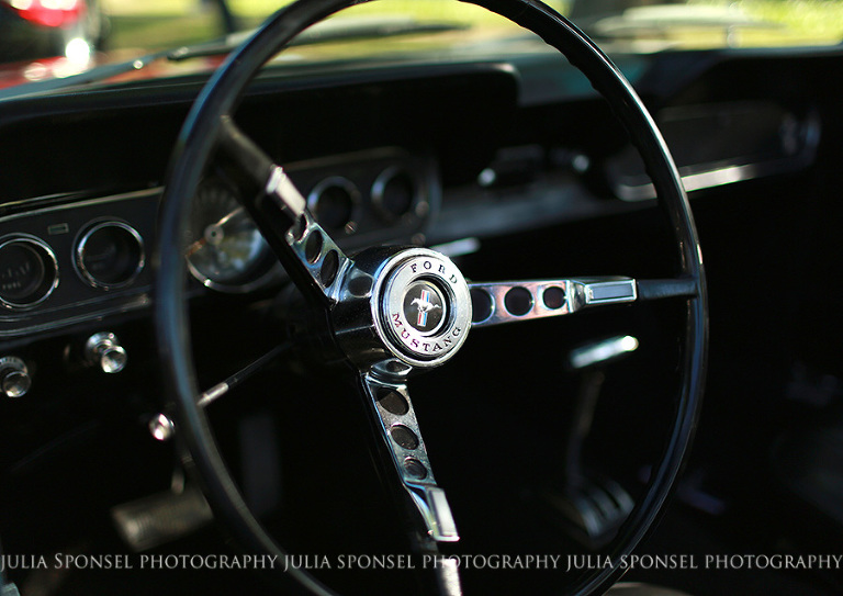 mustang