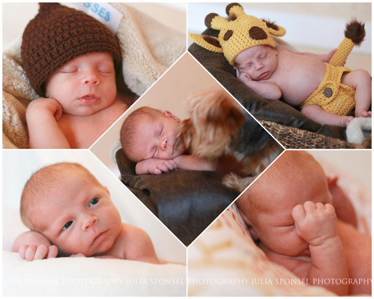 newborn-photographer-frisco-1