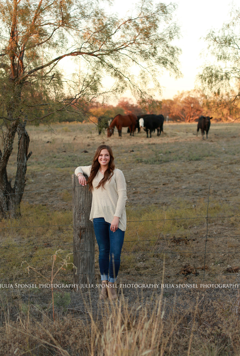 senior photos frisco cows