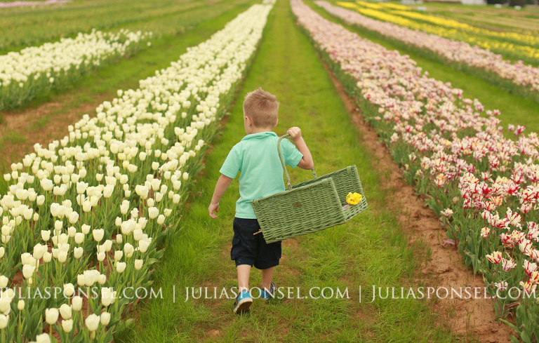 point-pilot-texas-tulips