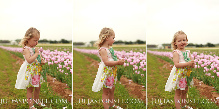 texas-tulips