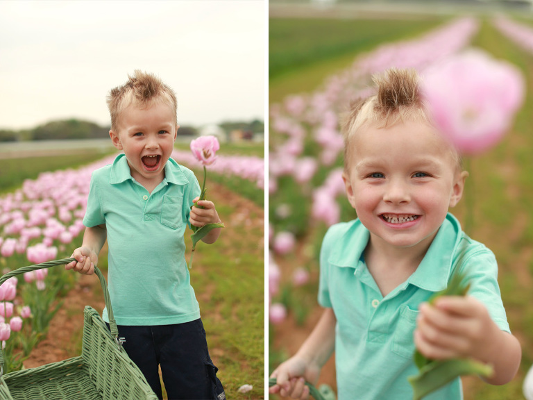 texas-tulips-2