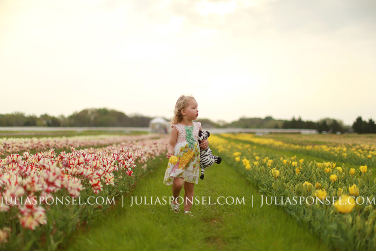 texas-tulips-3