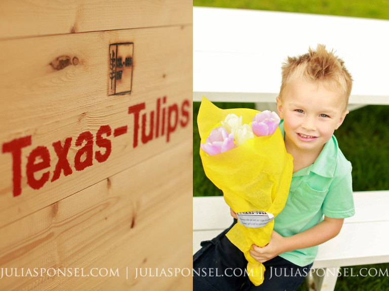 texas-tulips-farm
