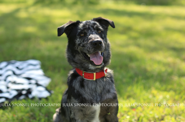 senior-photographer-in-frisco-tx