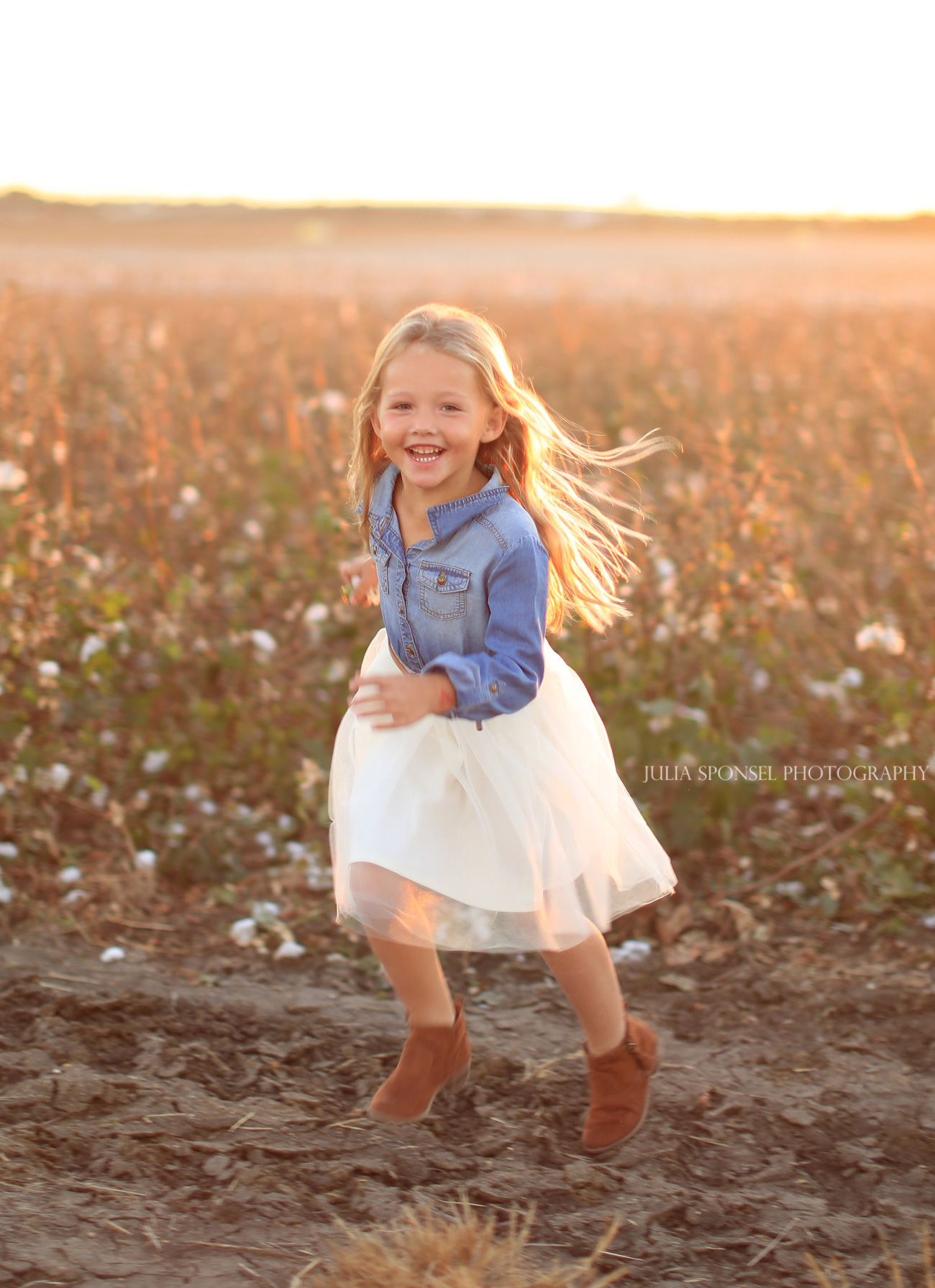 Cotton Fields….or lack there of » Julia Sponsel Photography